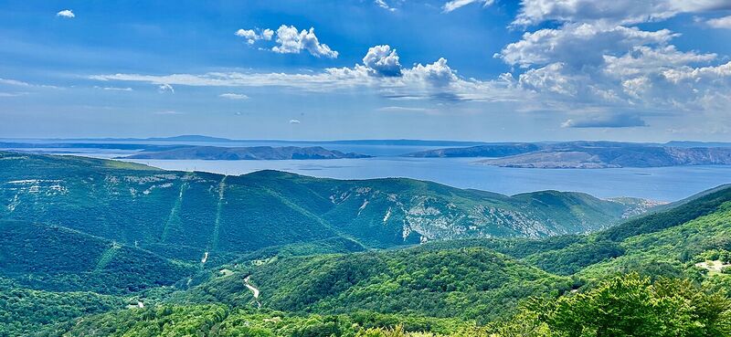 Rab