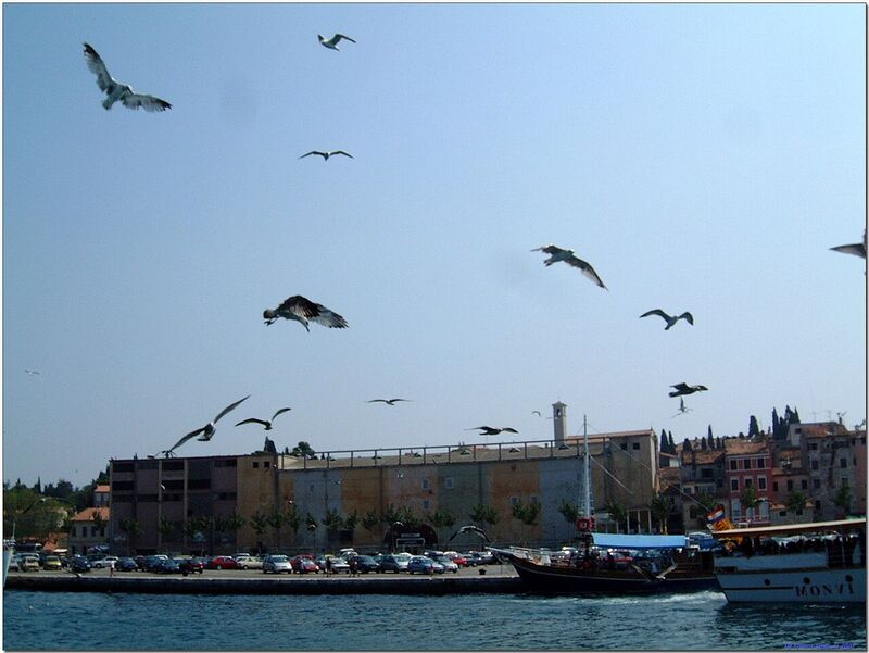 Rovinj